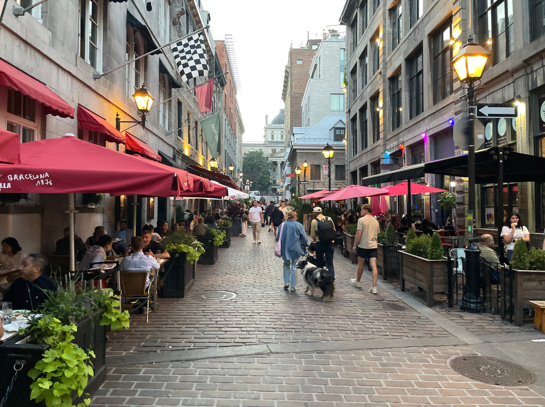 圣保罗大街-蒙特利尔必去景点