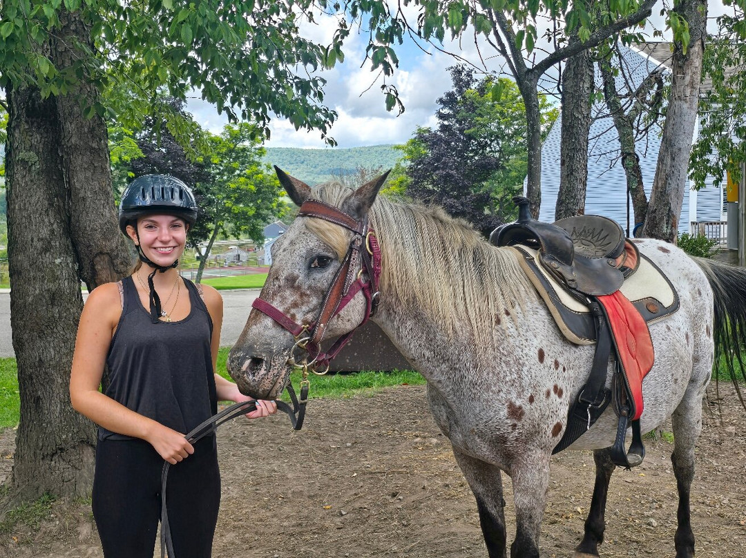 Mountain Trail Rides Horseback Riding & More-戴维斯必去景点