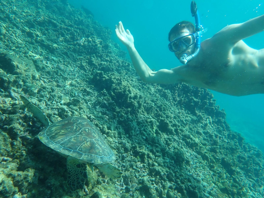 Seeb Sea Tours-锡卜必去景点