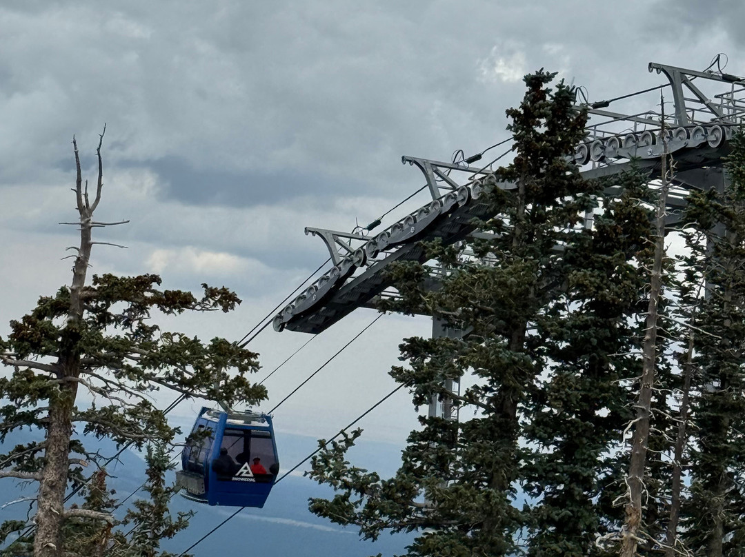 Residence Inn by Marriott Flagstaff主图