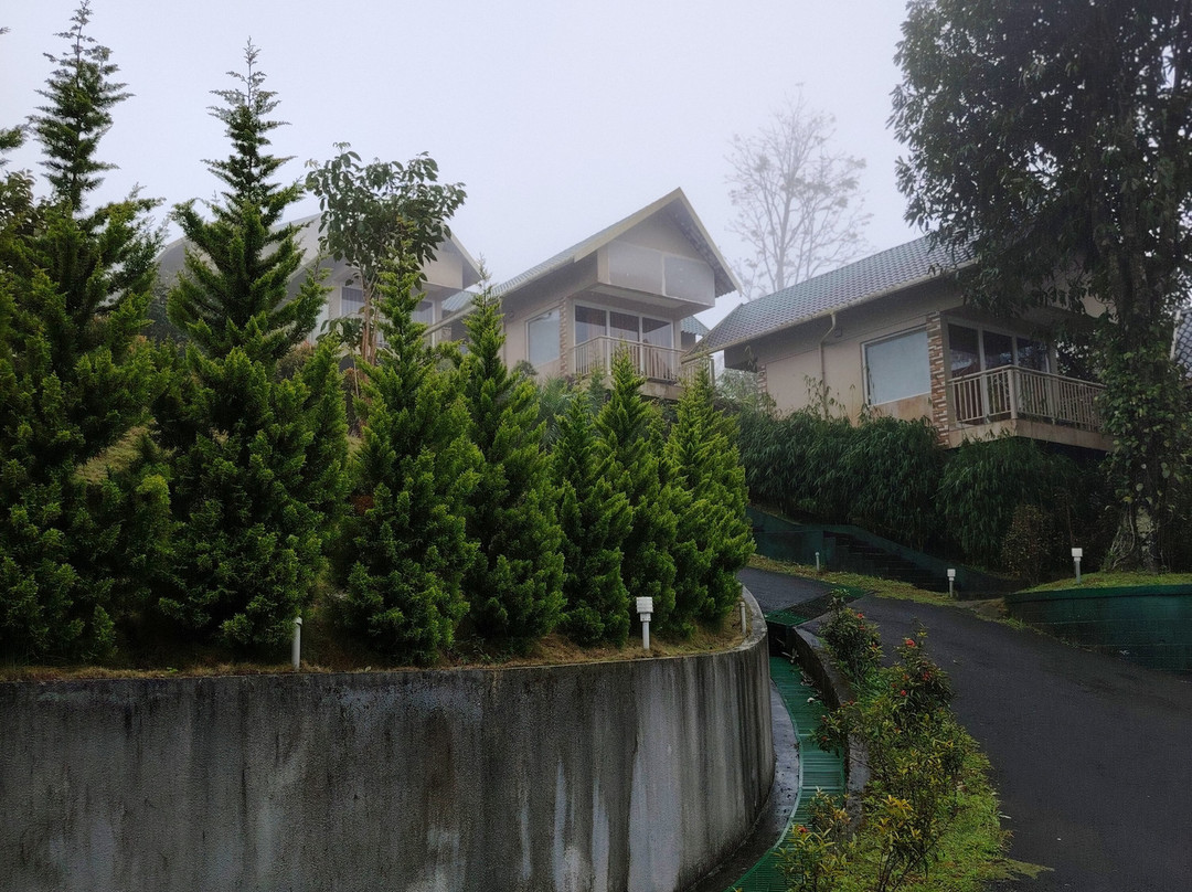 Aveda Mountains And Mist - Munnar主图