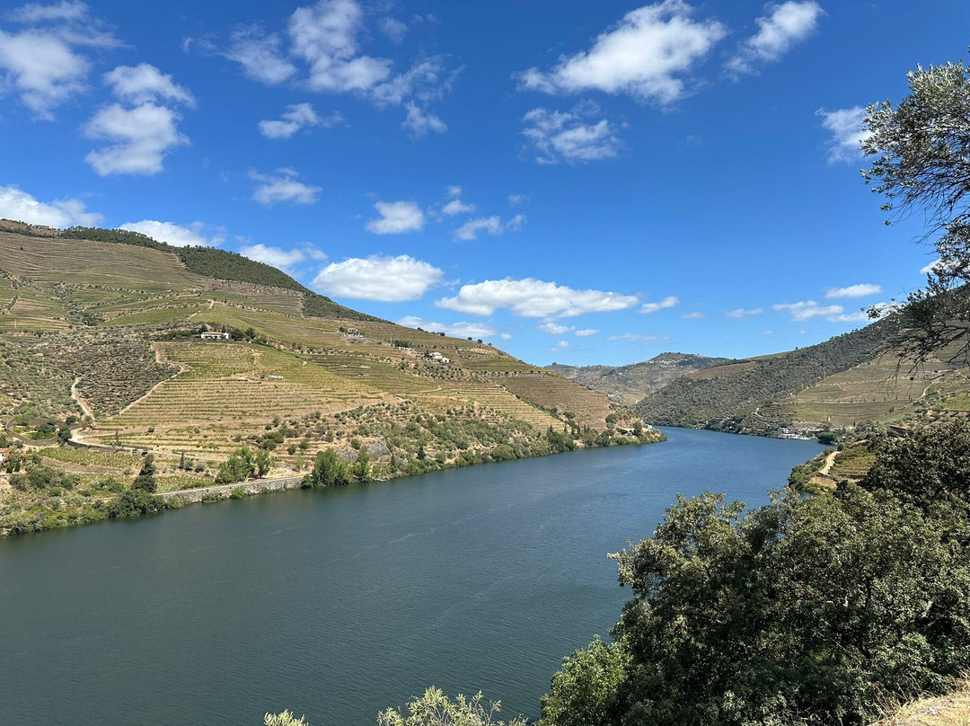 Jorge Miguel Matias - Wine & Tours-Pinhao必去景点