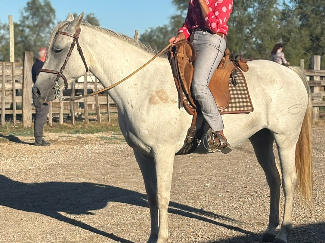 Manade Jullian-艾格莫尔特必去景点