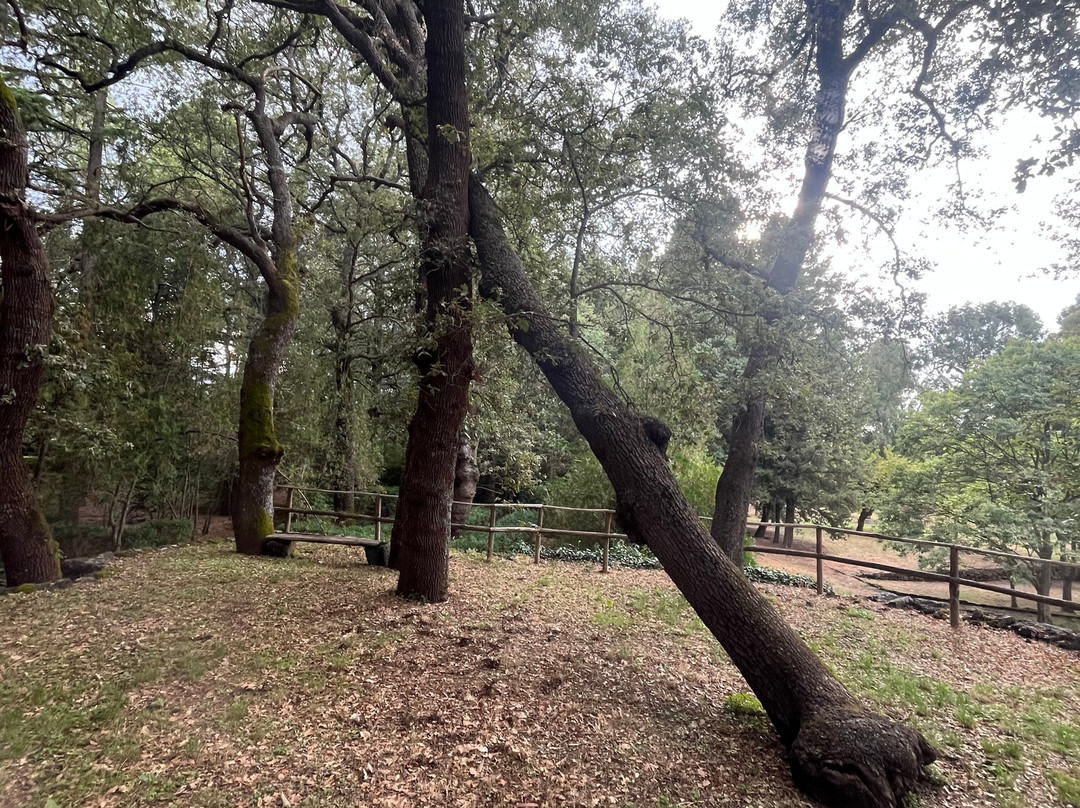 Parco Statella主图