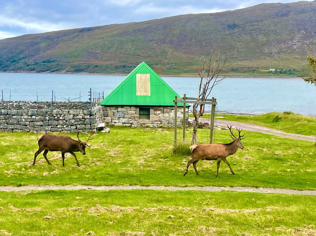 Applecross Beach-Applecross必去景点