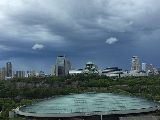 大阪新大谷酒店主图