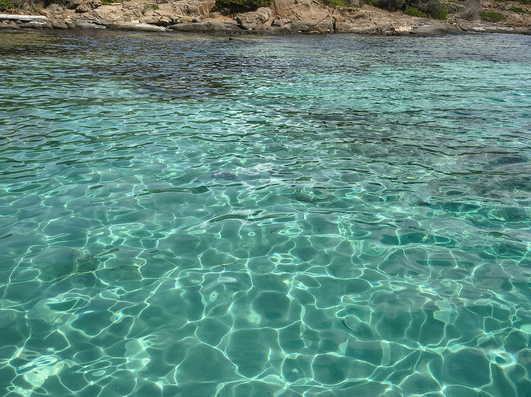 Asinara Charter Service-斯廷蒂诺必去景点