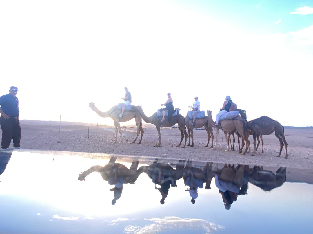 Agafay Desert Camel Ride-Agafay必去景点