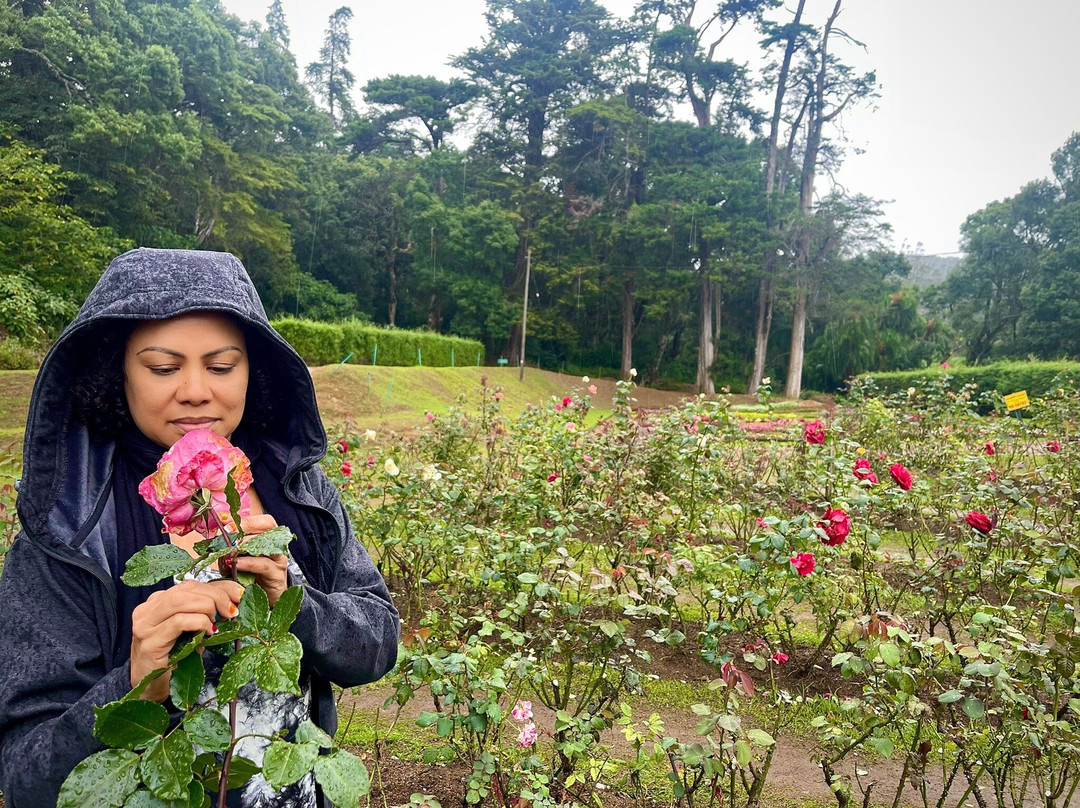 Hakgala皇家植物园-奴娃拉伊利雅必去景点