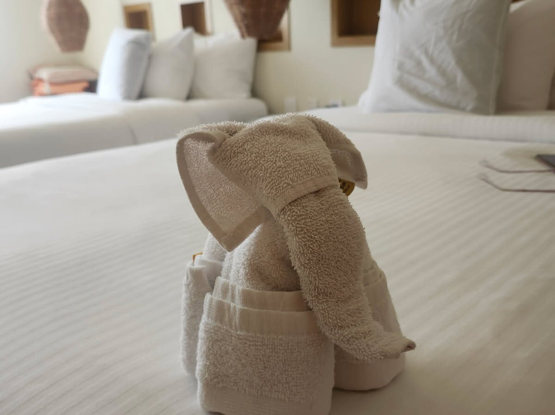 伊克切尔海滩酒店主图