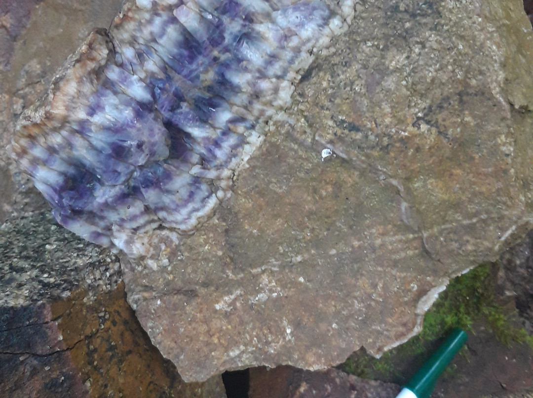 Hotel Spa Thermalia主图