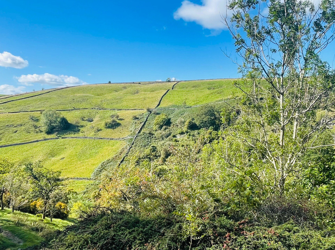 Parcevall Hall Gardens-斯基普顿必去景点