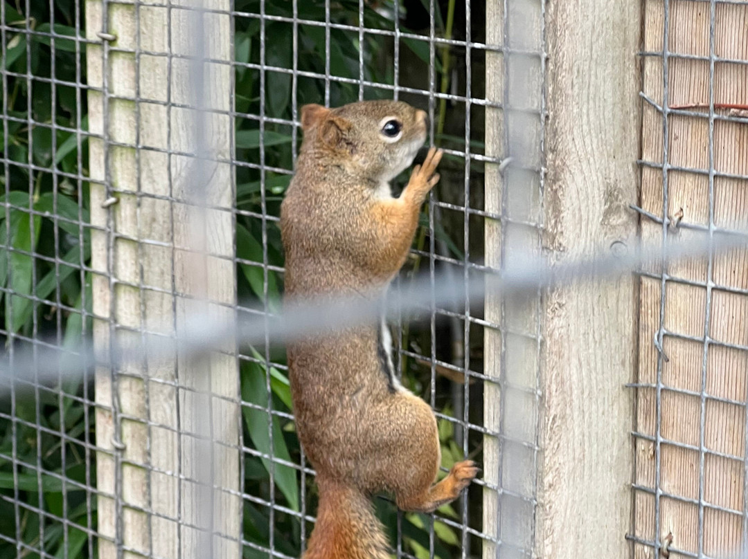 Uilen- en Dierenpark De Paay-Beesd必去景点