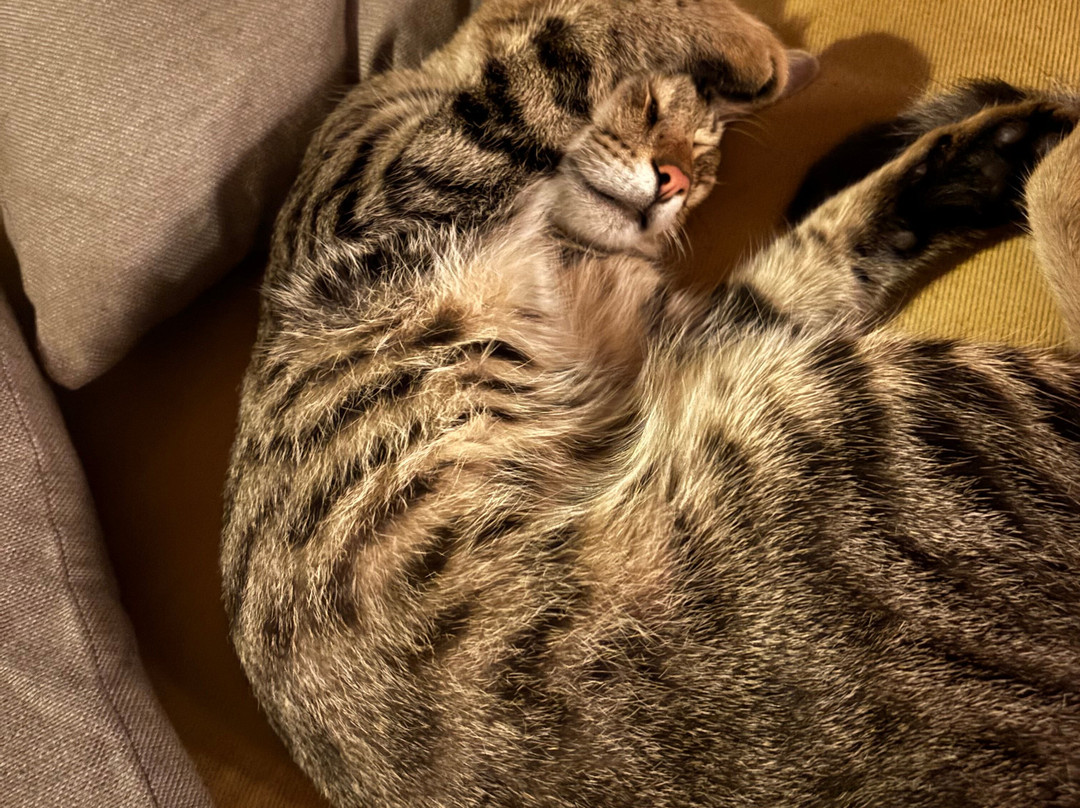 态度翡翠滩主图