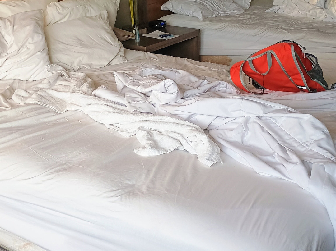 梅多兰兹锡考克斯拉金塔套房酒店主图