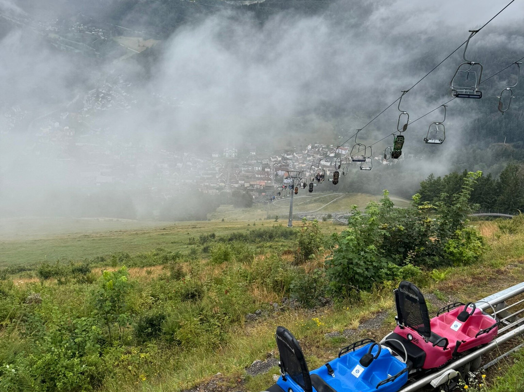 Hasenhorn Coaster Todtnau-托特瑙必去景点