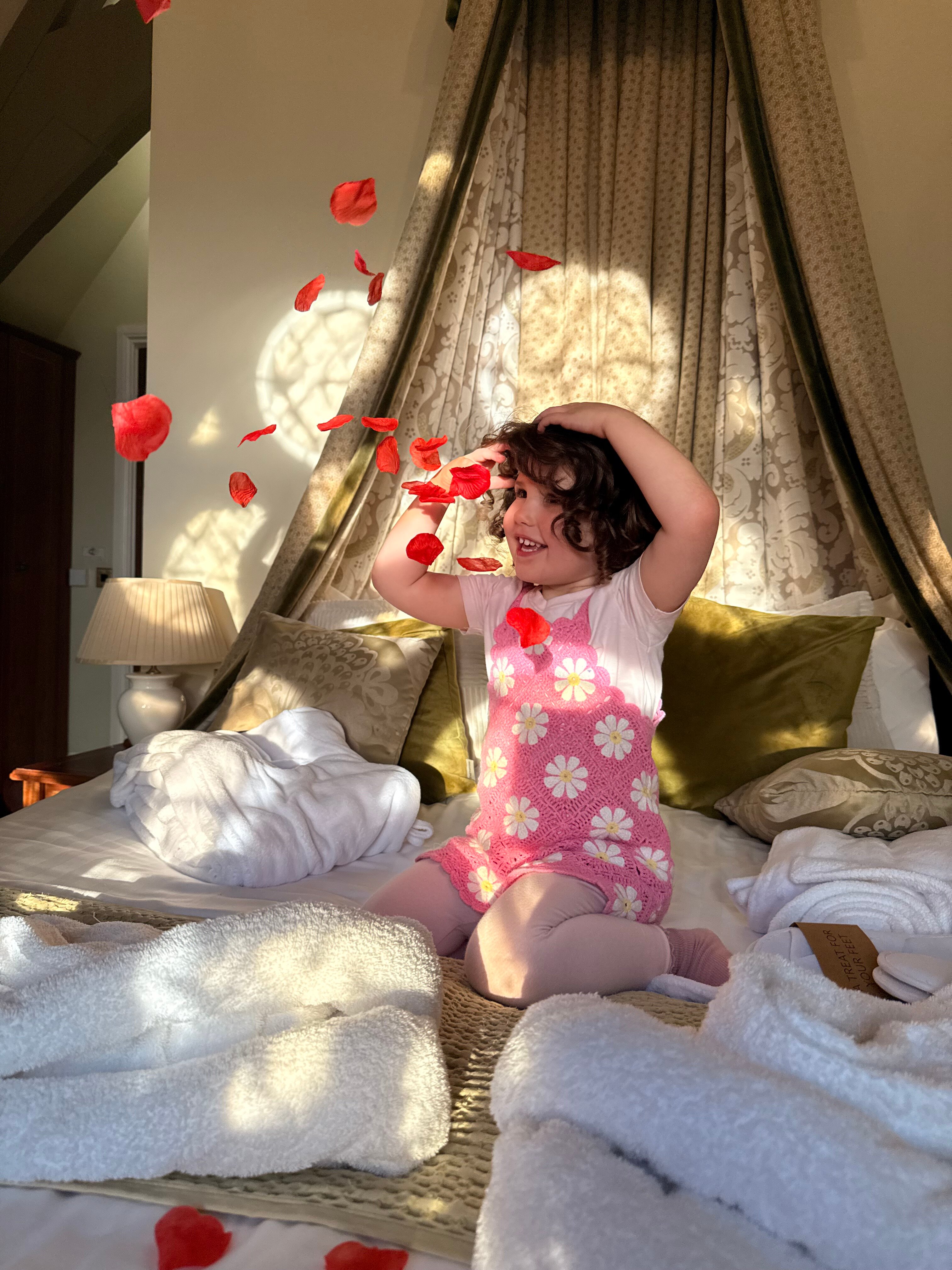 The Old Palace Lodge-官方