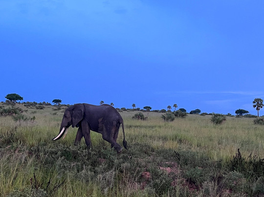 travel with twaha-坎帕拉必去景点