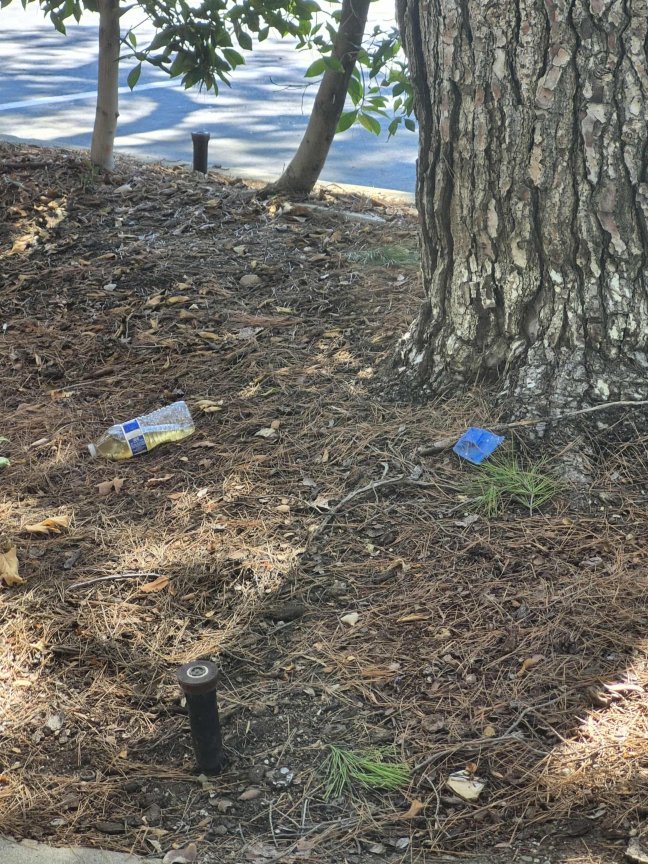 喜来登环球酒店-酒店景观