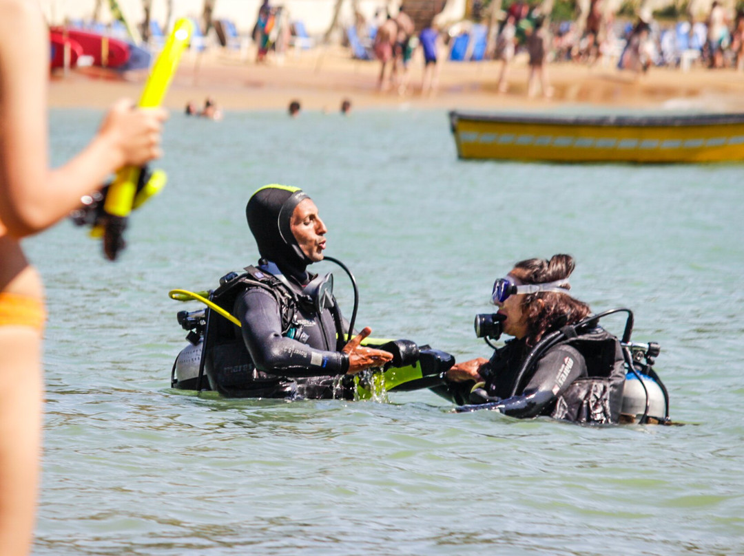 Praia João Fernandes-布基亚斯必去景点