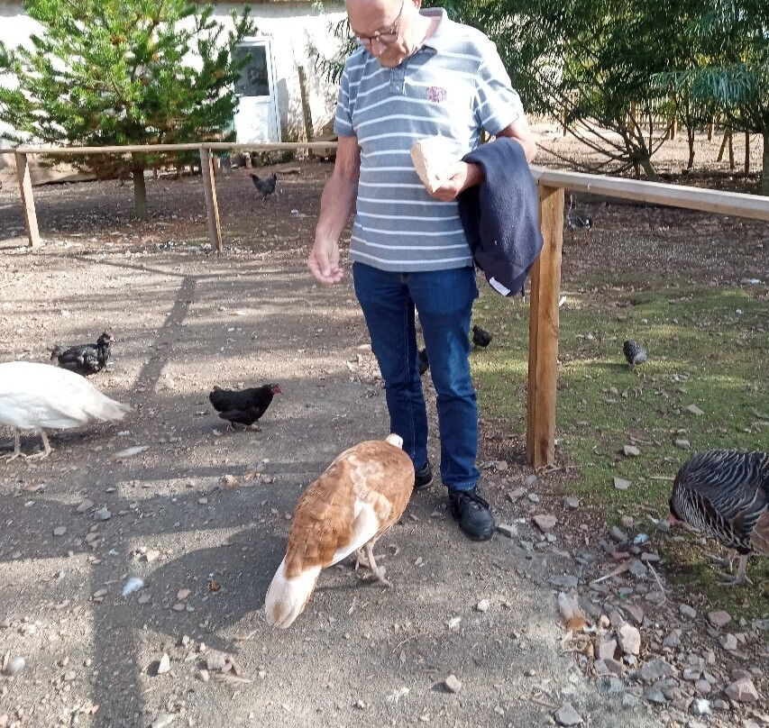 Bird Gardens Scotland Cic-Oxton必去景点