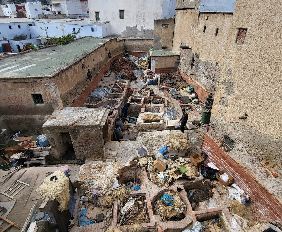 Tanneries of Tetouan-Tetouan必去景点