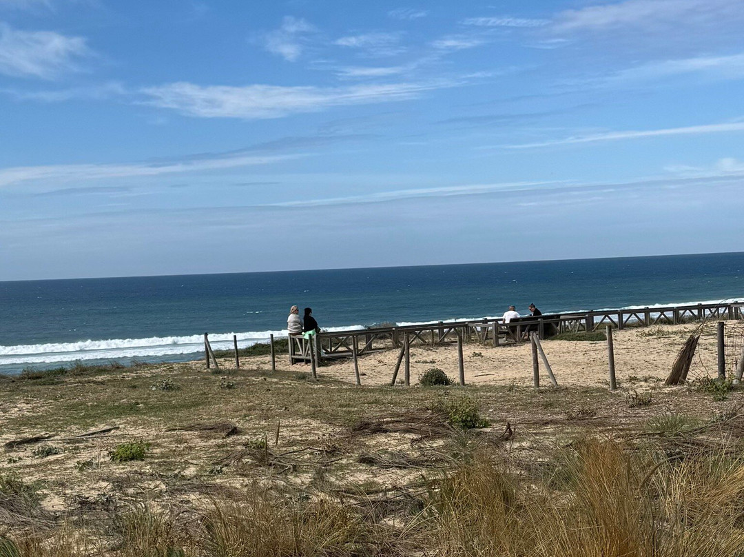 Cap de l'Homy-Lit-et-Mixe必去景点