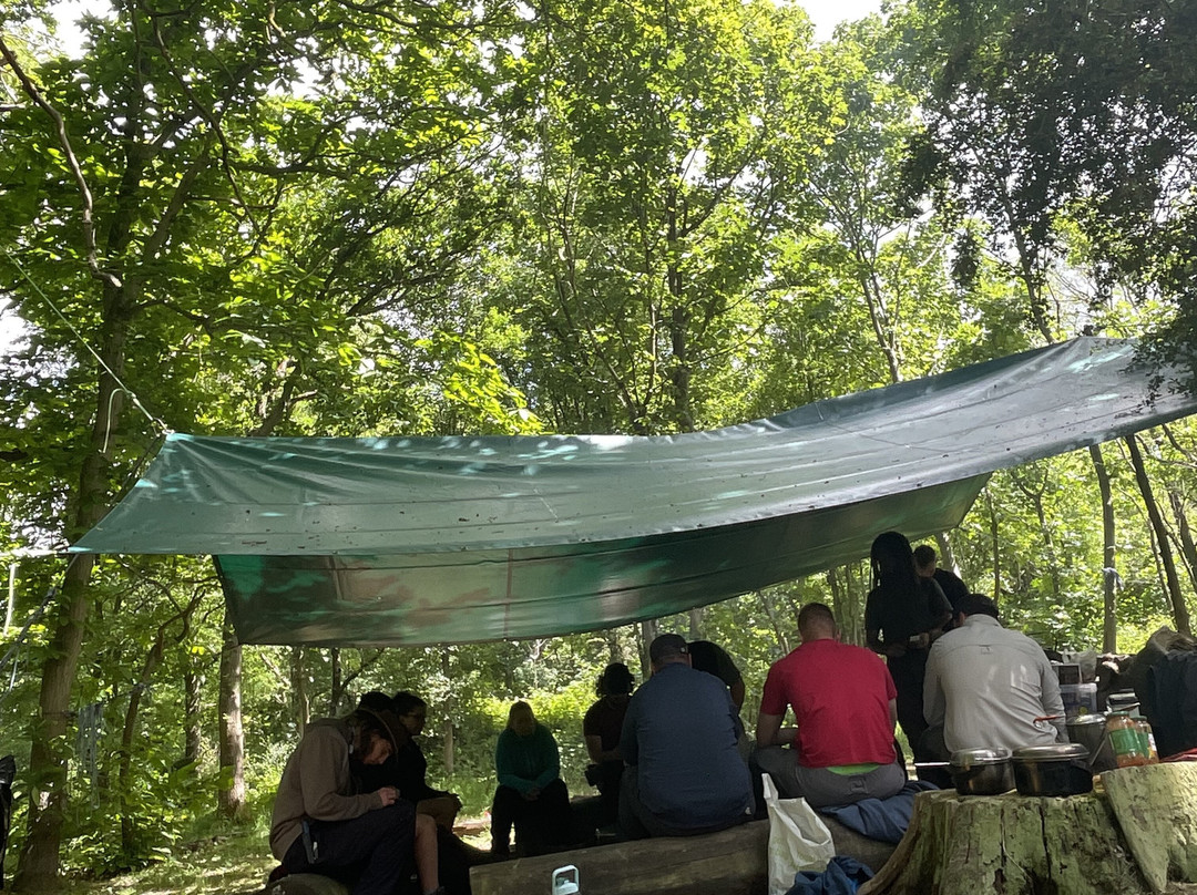 Back to Wilderness-Brandon必去景点