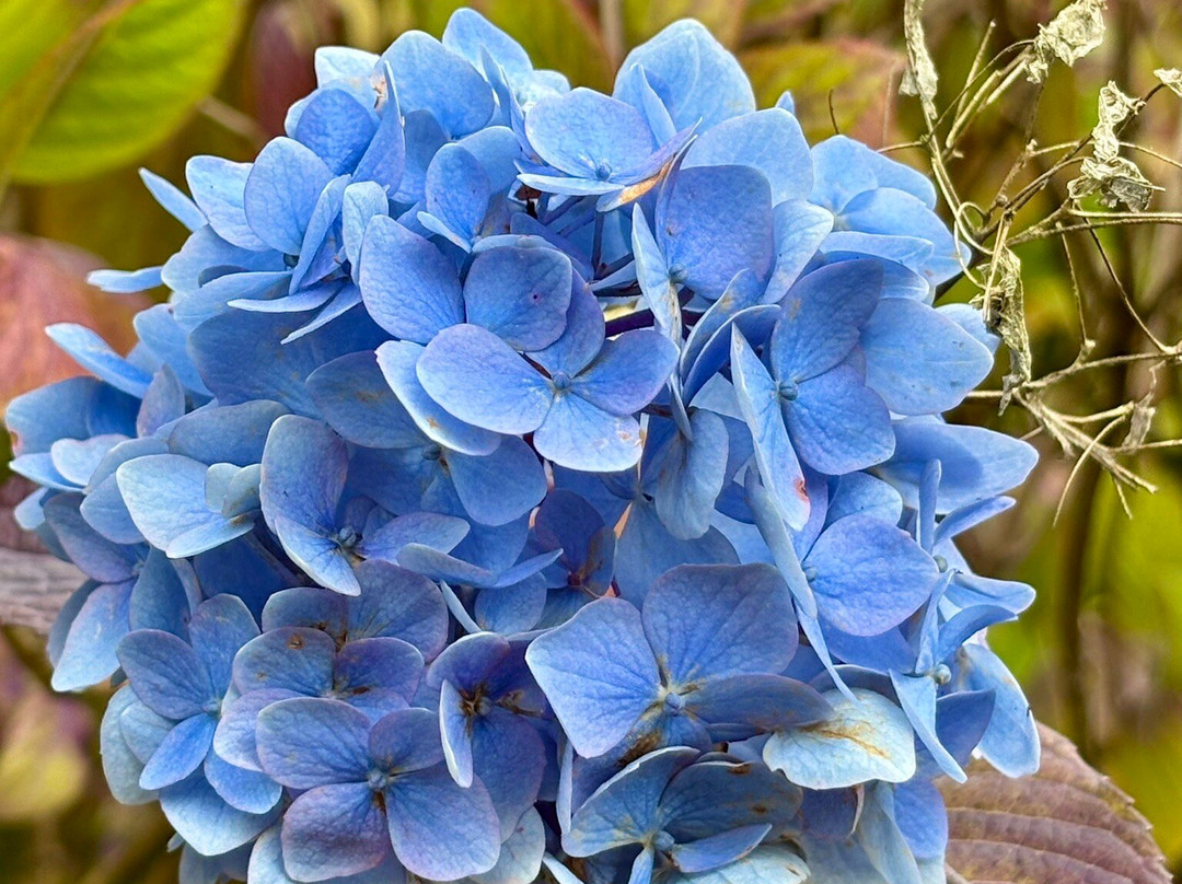 Dale Head Hall Lakeside Hotel主图