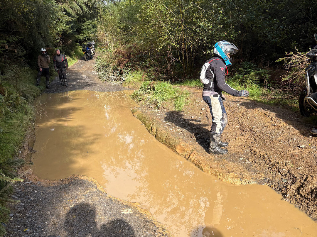 Trail Riding UK - Day Tours-Welshpool必去景点