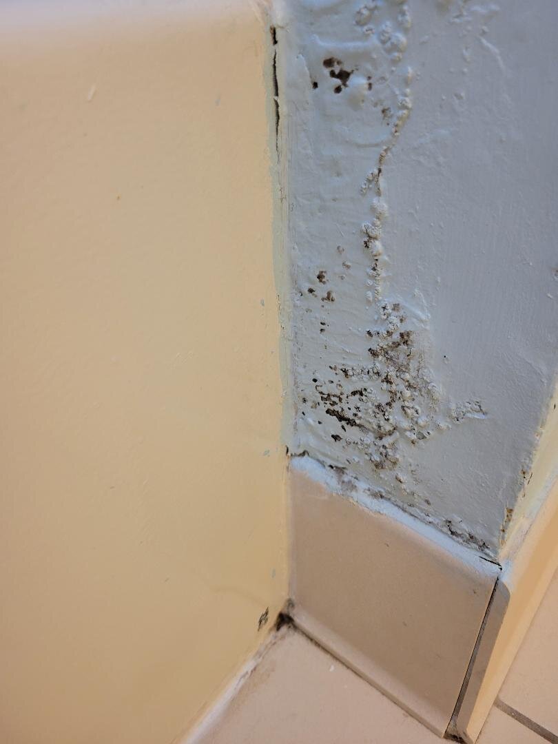 Sonesta ES Suites Providence - Airport-浴室