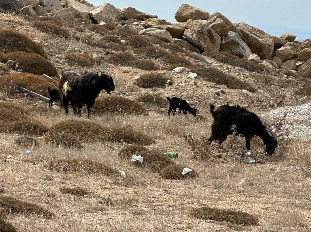Armenistis Lighthouse-Faros Armenistis必去景点