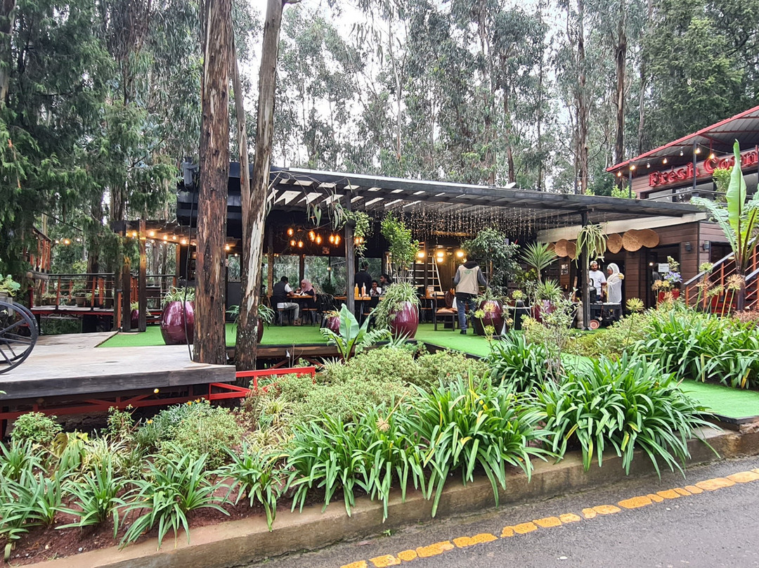 Addis Tour Guide-亚的斯亚贝巴必去景点