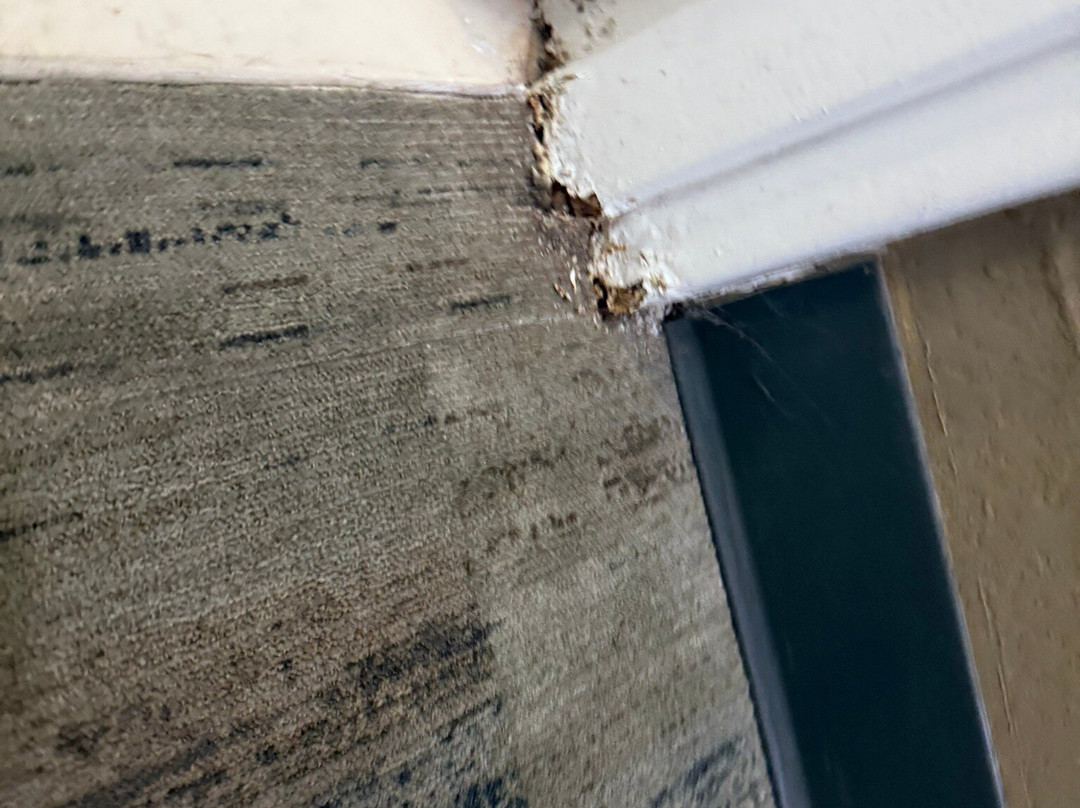 SureStay Plus By Best Western Corydon主图