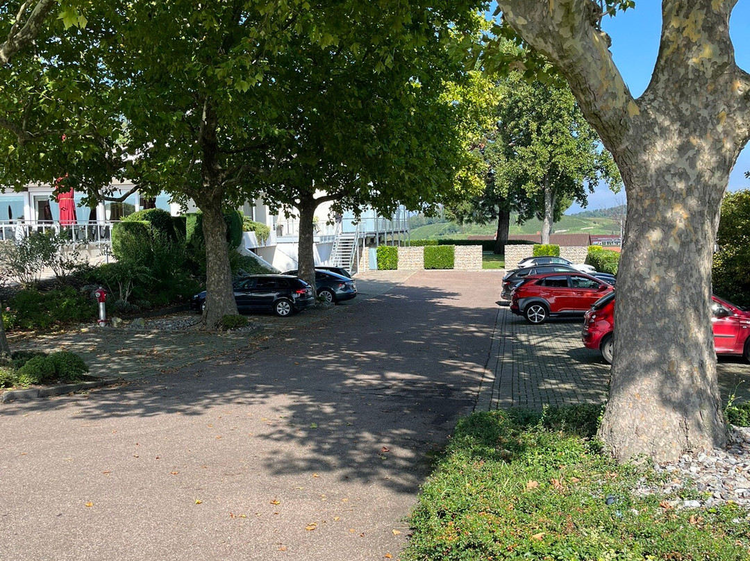 Köpfers Steinbuck主图