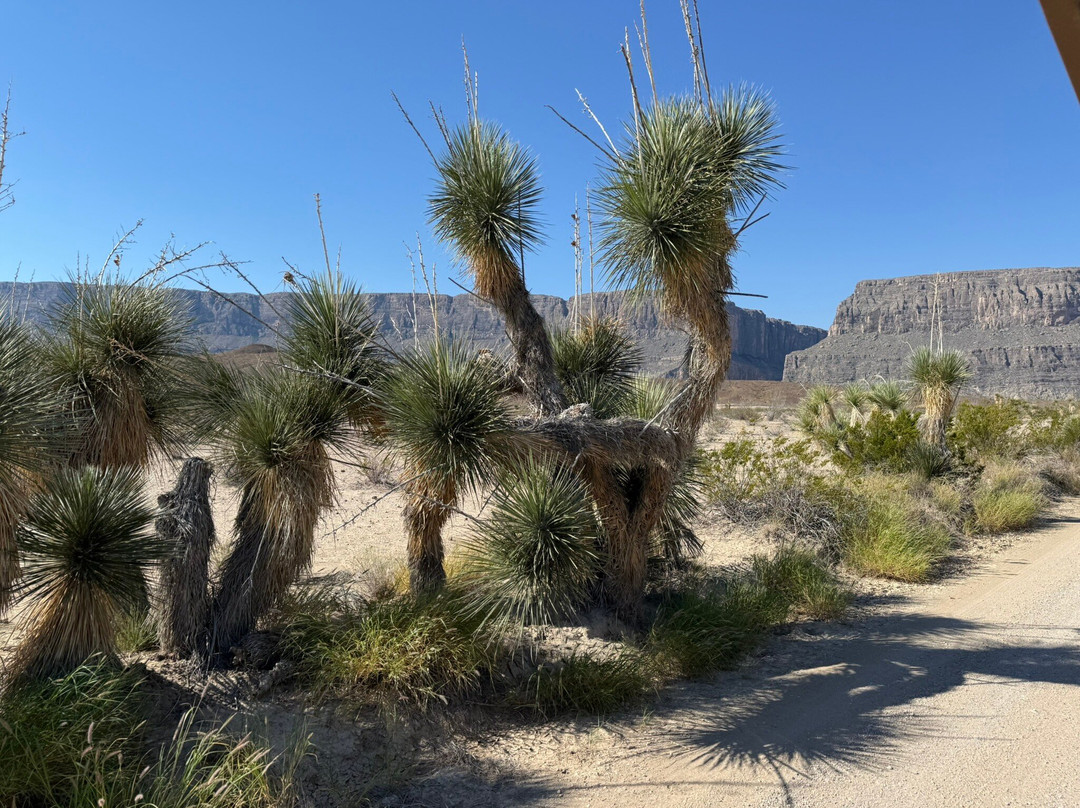 Far Flung Outdoor Center-Terlingua必去景点