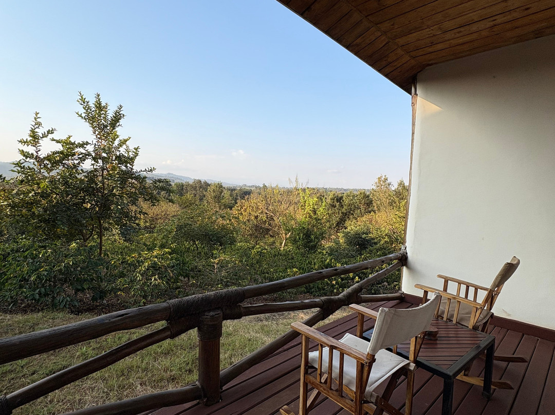 East Safari Tours-阿鲁沙必去景点