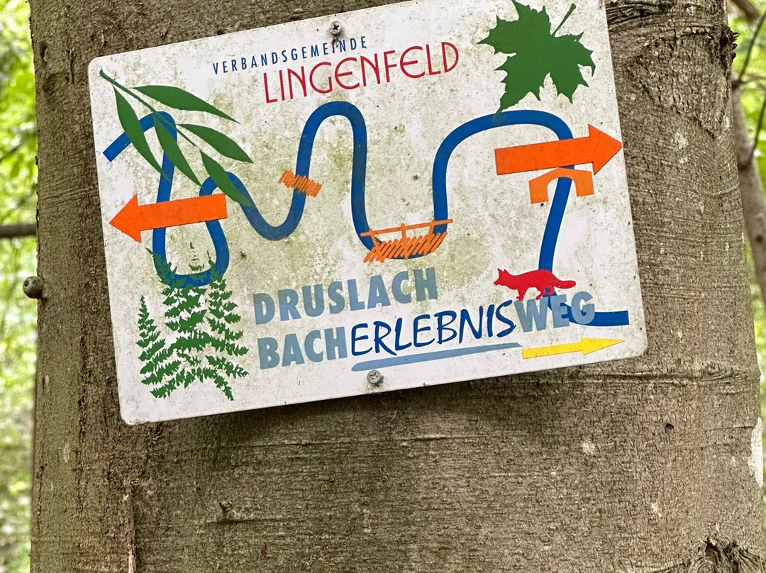 Queichwiesen-Offenbach an der Queich必去景点