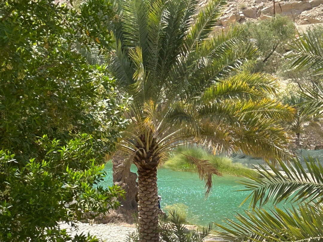 Wadi Bani Khalid-Al Kamil Wal Wafi必去景点