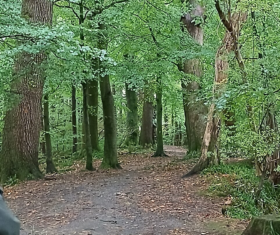 Dean Castle Country Park-Kilmarnock必去景点