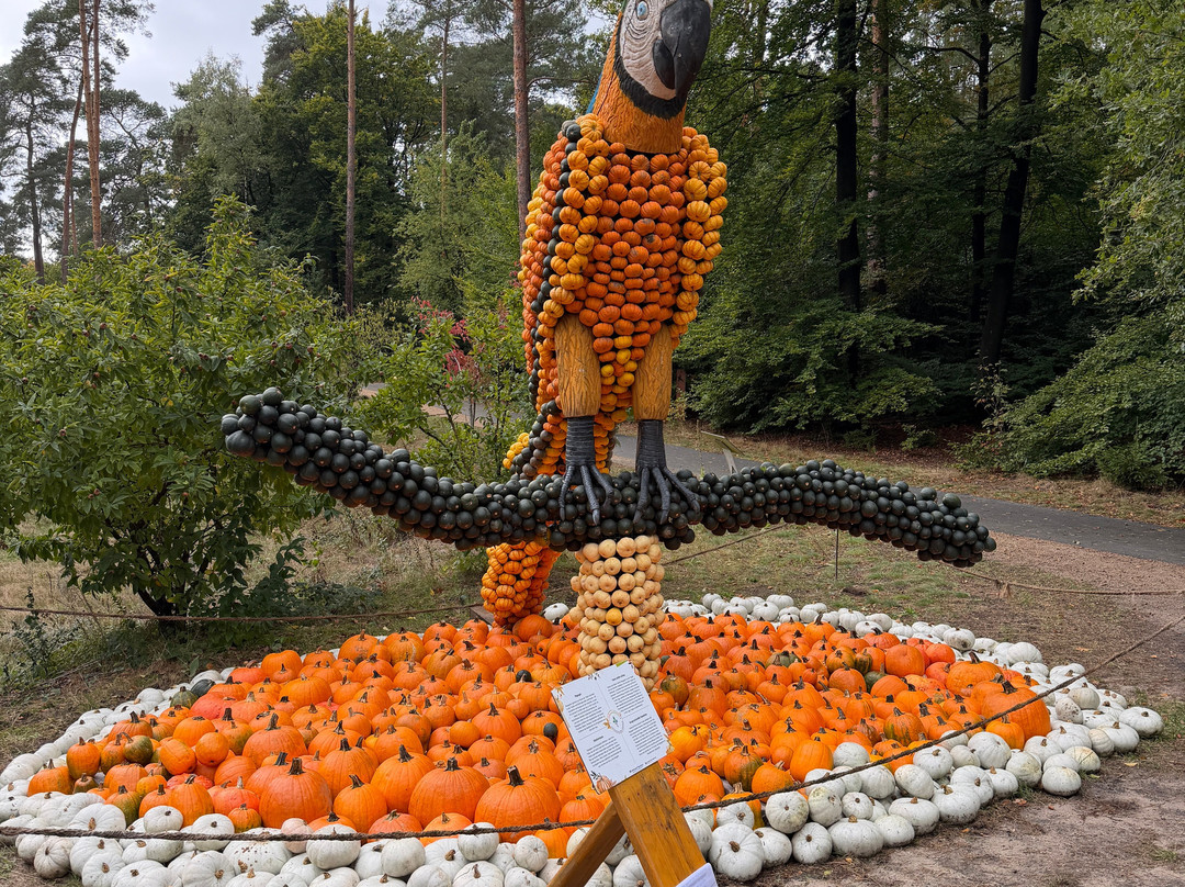 Gartenschau Bad Lippspringe-Bad Lippspringe必去景点