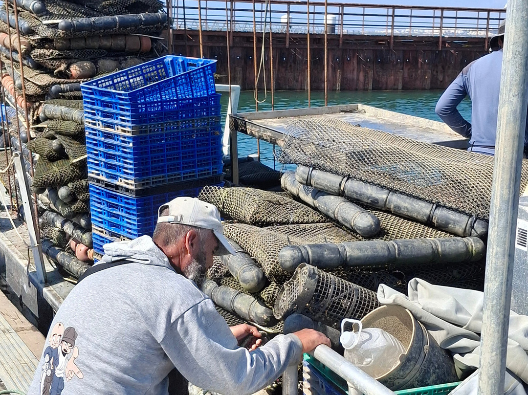 Fantastikspirit Boat Trips & Tours-奥良必去景点