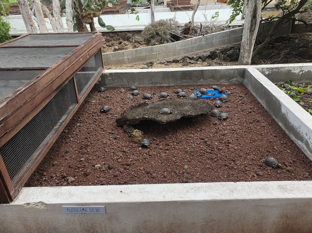 Estación Científica Charles Darwin-阿约拉港必去景点