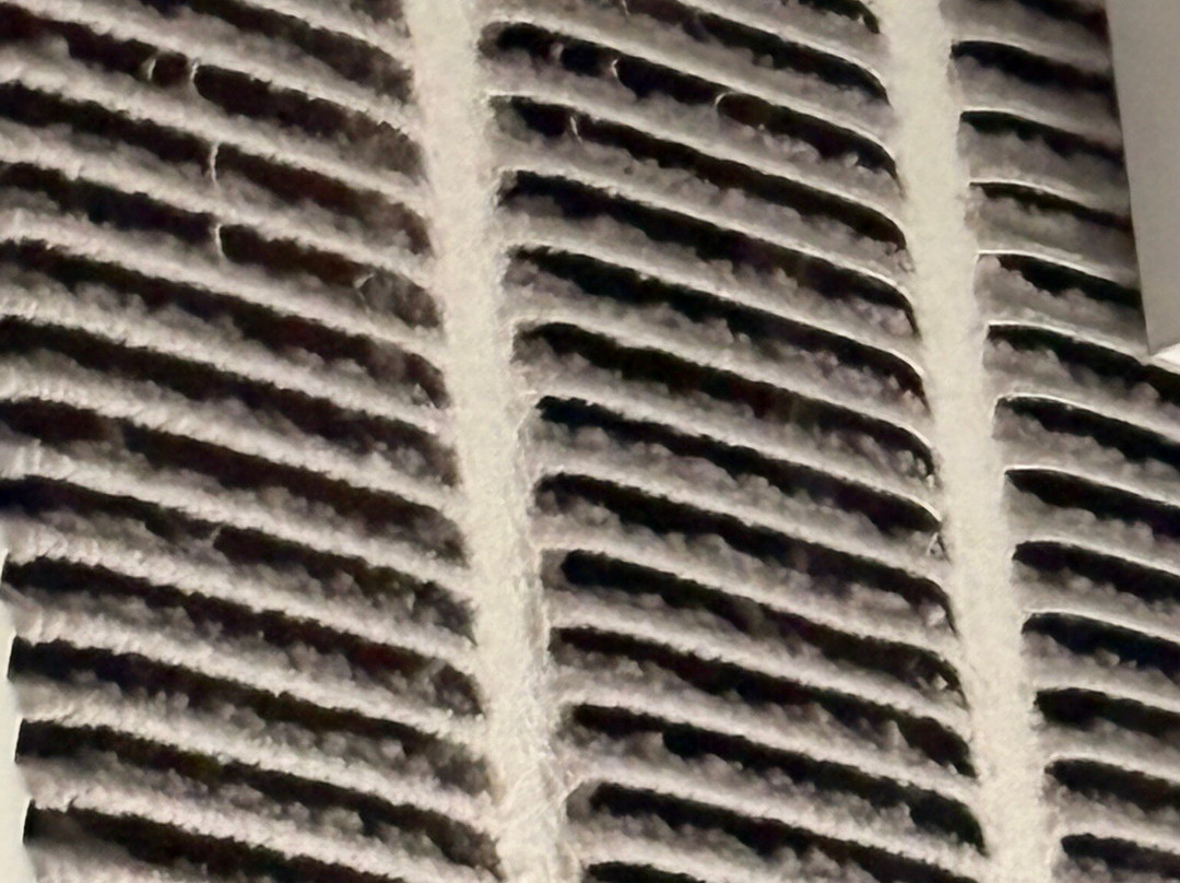 Staybridge Suites Phoenix - Glendale Sports Dist by IHG主图