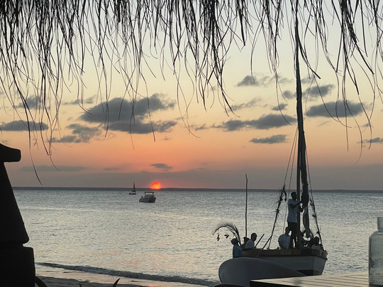 Anywhere in Africa Safaris-开普敦中心区必去景点