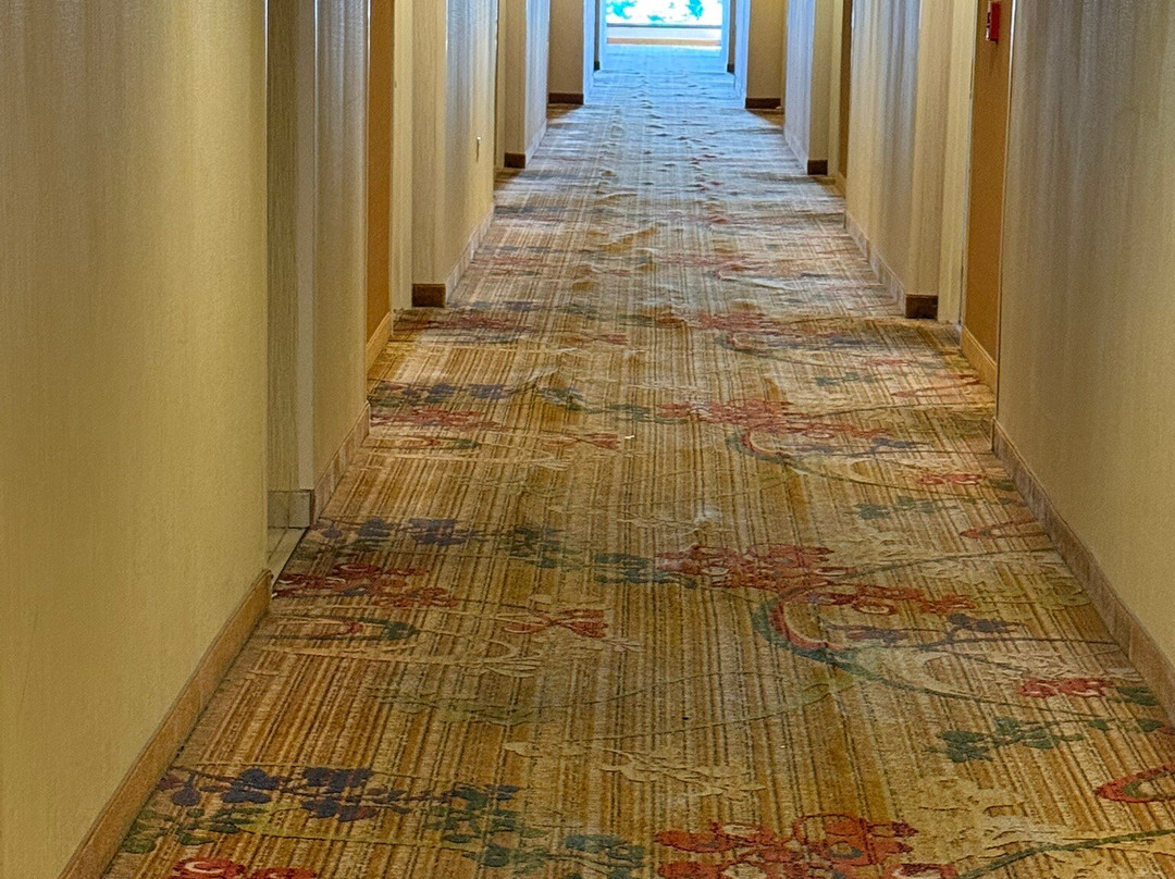 Charleston Marriott Town Center主图