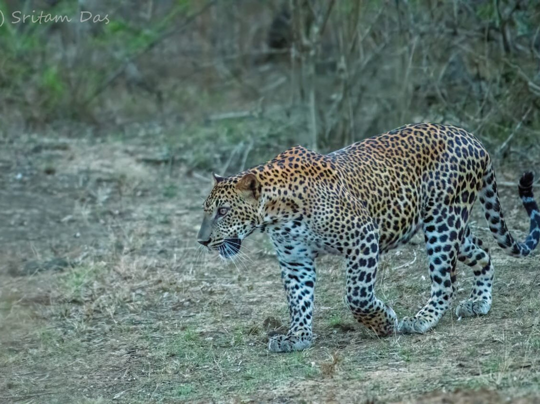 Menaka Safari-蒂瑟默哈拉默必去景点