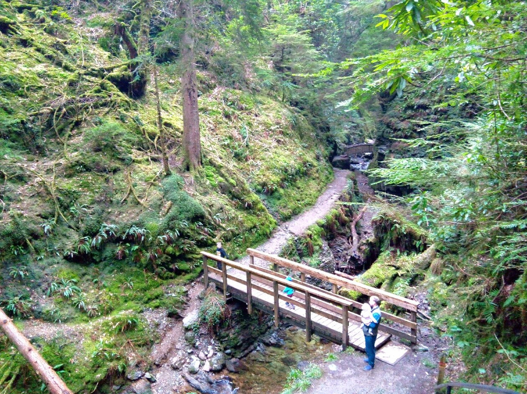 Puck's Glen-Benmore必去景点
