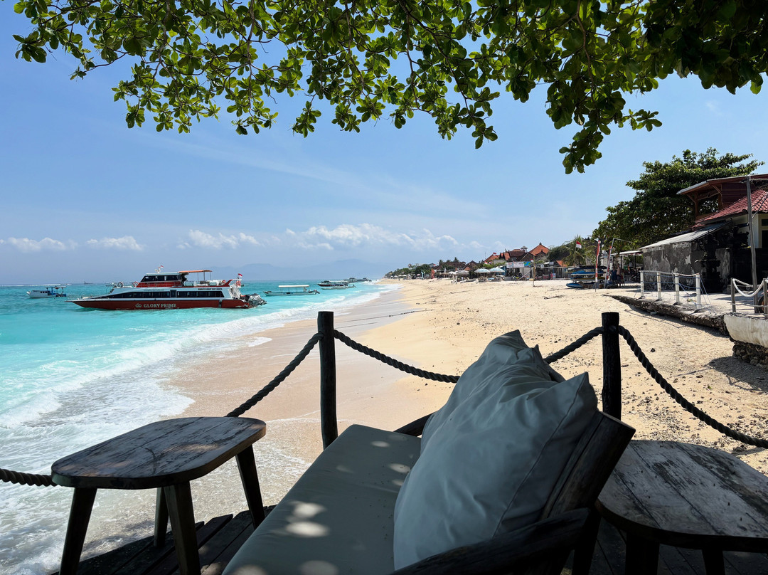 Best of Bali Tours-蓝梦岛必去景点