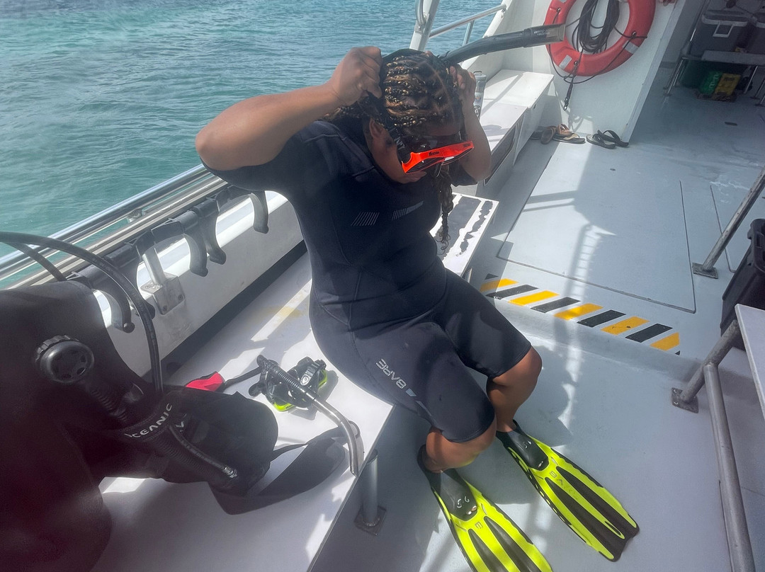 Paradise Scuba & Snorkeling Center-La Parguera必去景点